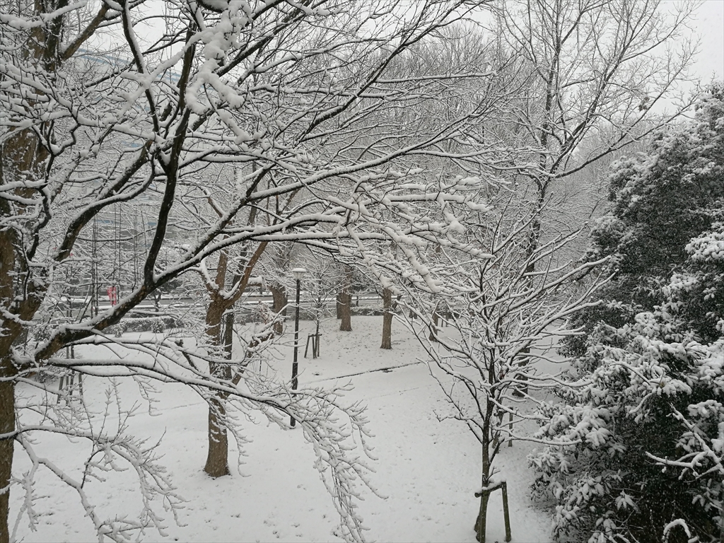 雪景色