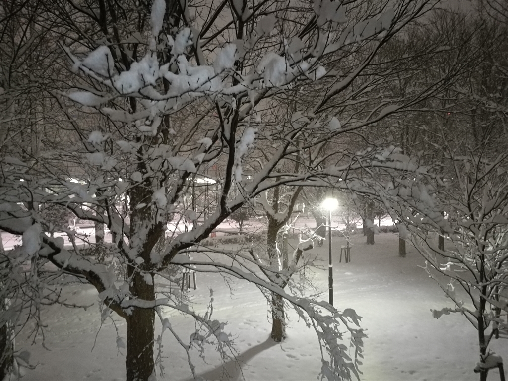 雪景色