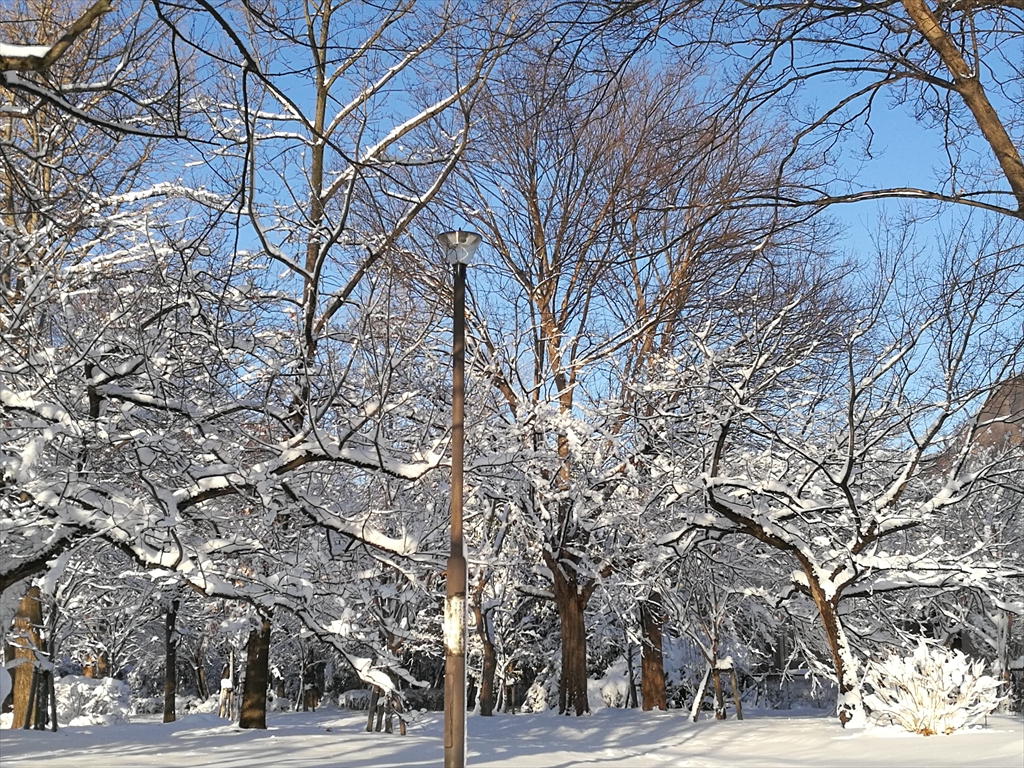 雪景色