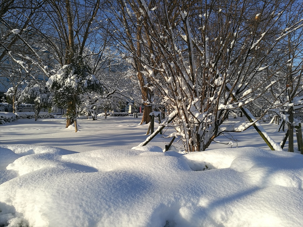 雪景色